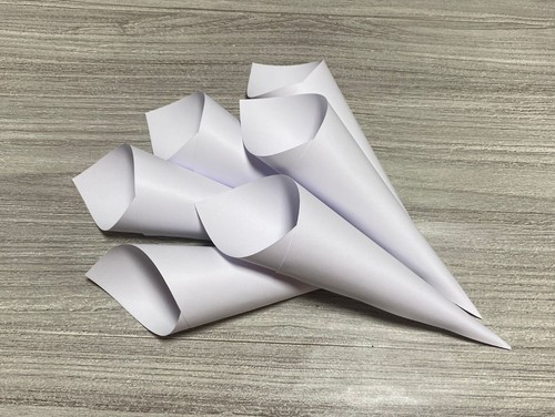 100 coni porta riso confetti